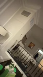 三只小母狗一个被操穴两个舔jb